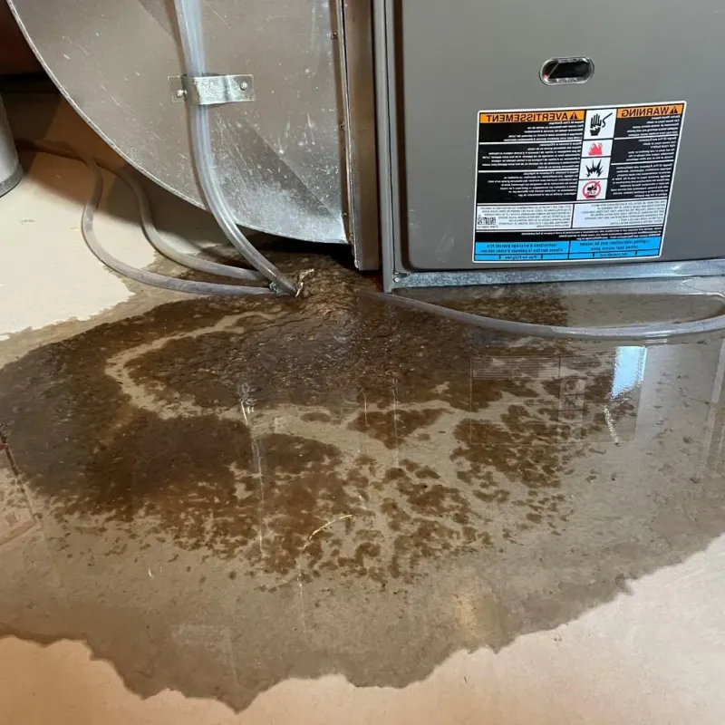 Pipe Burst and Leak Restoration in Fulton County, IN