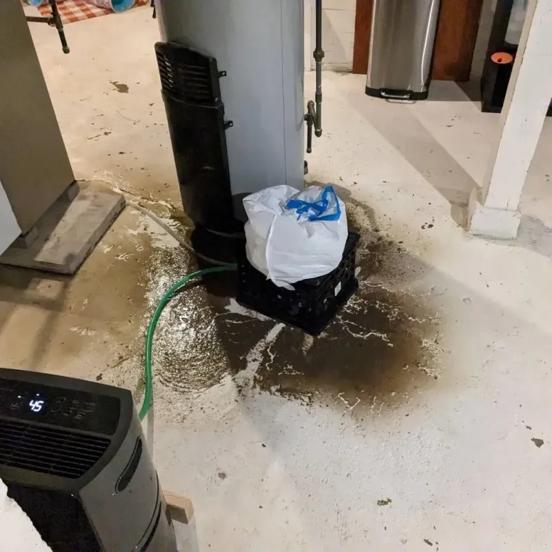 Sewage Backup Cleanup Service in Fulton County, IN